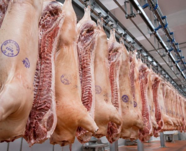 carimbo da carne