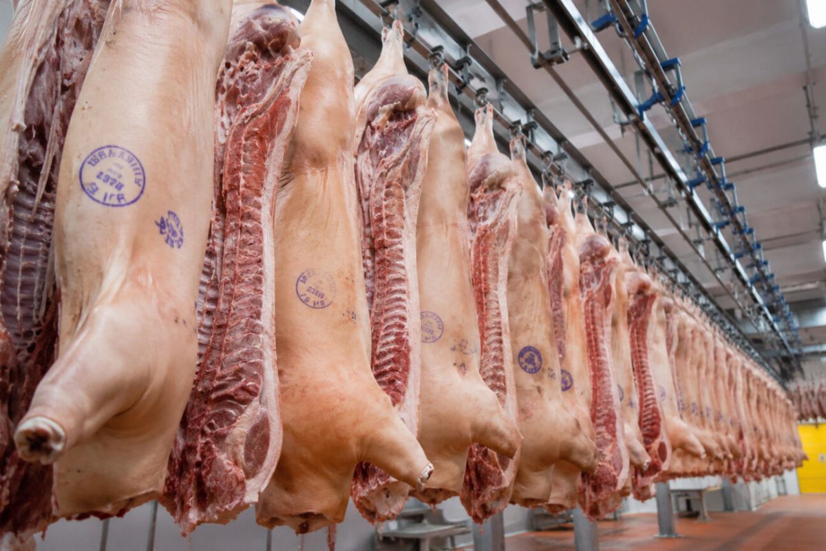 carimbo da carne