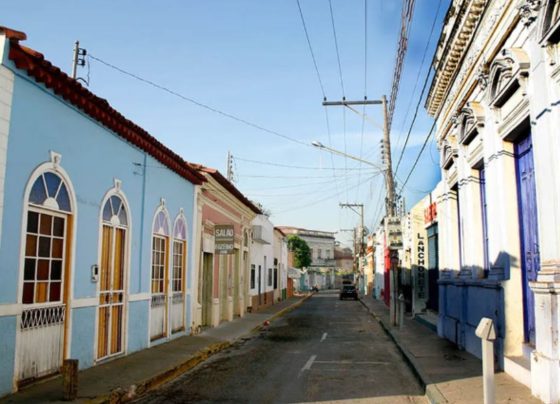 politica de primeira