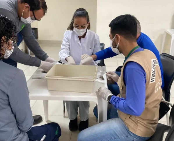 Manejo de gastrópodes