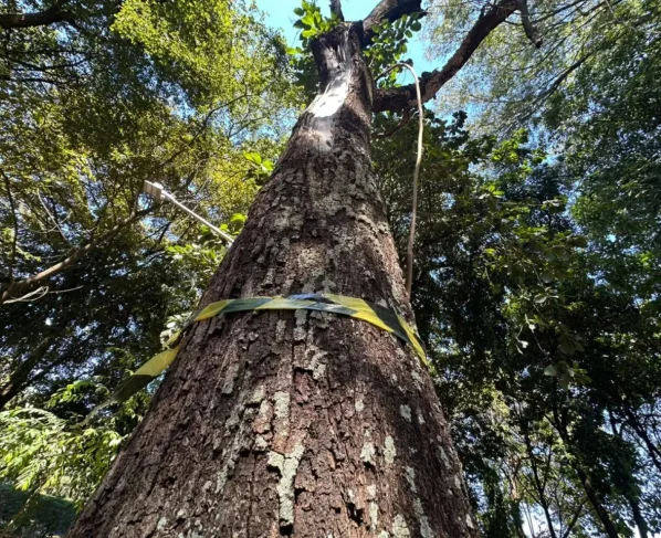 Área Verde do Marco Zero