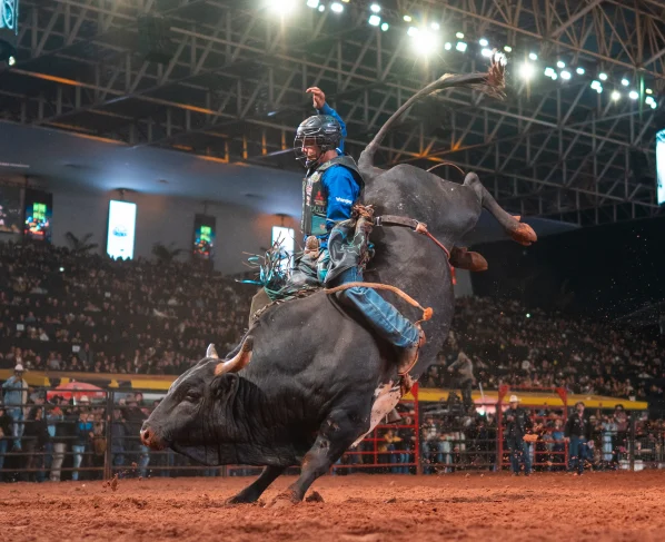 Professional Bull Riders (1)