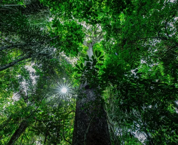 Ranking de clareza ambiental