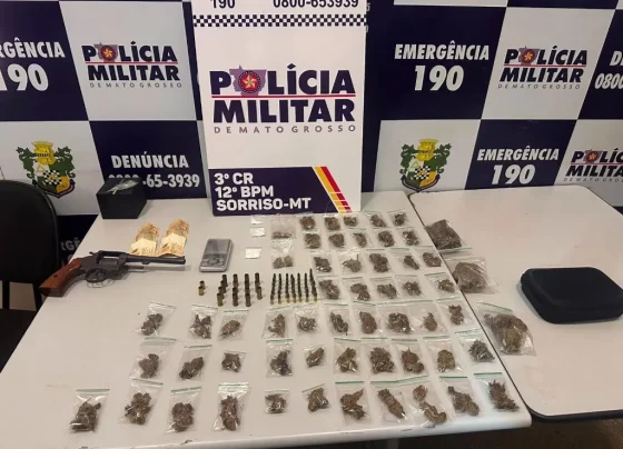 Drogas apreendidas pela PM