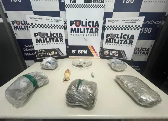 Três são conduzidos por tráfico de drogas com maconha em Cáceres