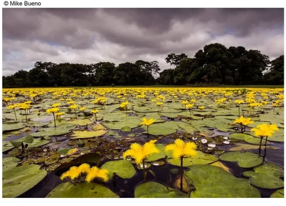 áreas turísticas naturais de Mato Grosso