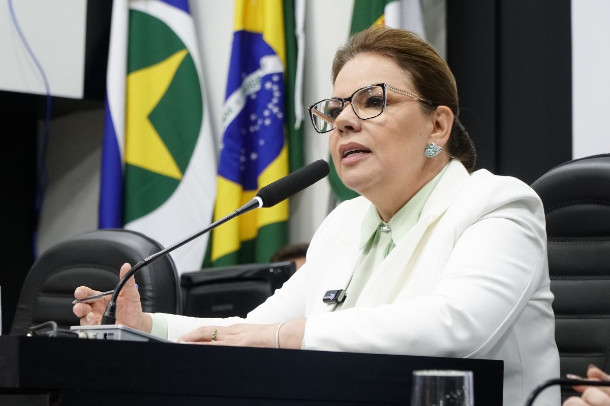 politica de primeira