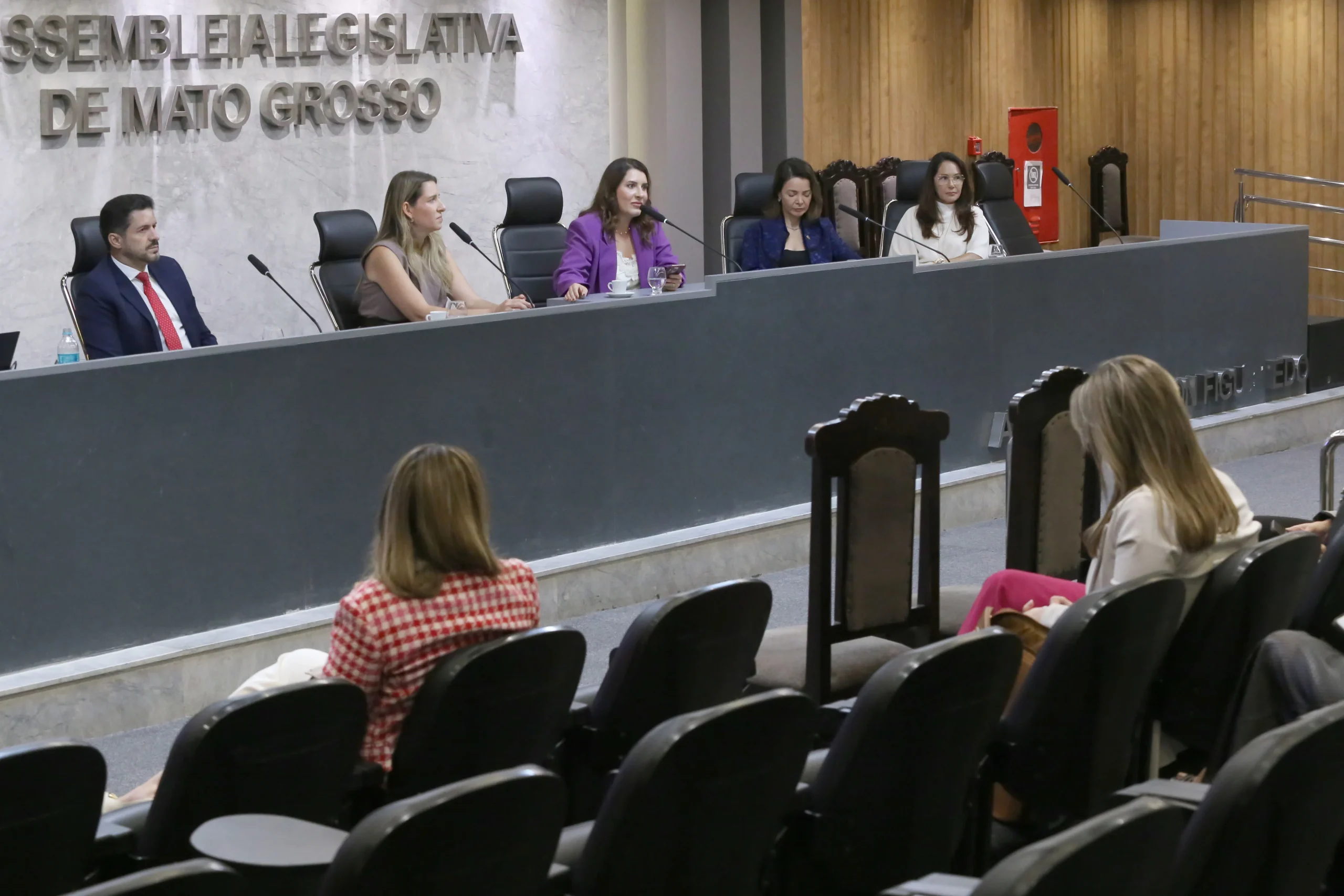 Violência contra a mulher exige rede preparada