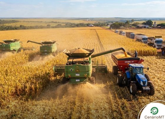 Máquinas agrícolas fazendo colheita
