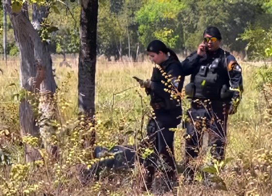 Corpo de homem é encontrado enrolado em cobertor em área de mata