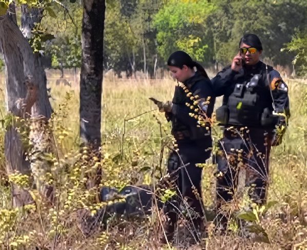 Corpo de homem é encontrado enrolado em cobertor em área de mata