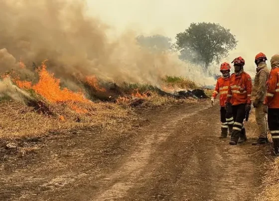 Incêndio em Mato Grosso