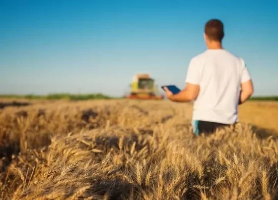 Homem do agro