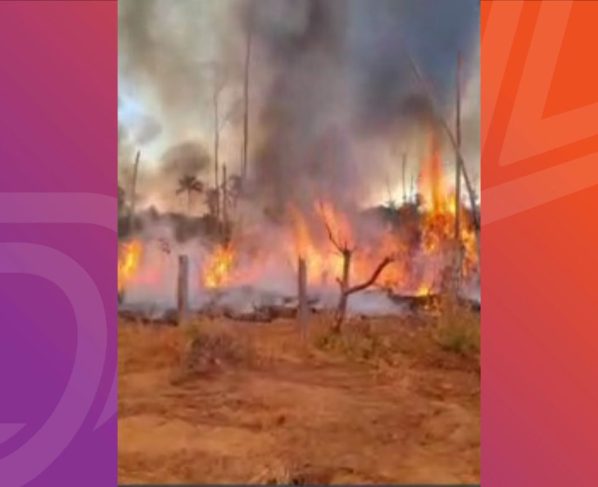 Fogo atingiu área de manejo sustentável em Nova Santa Helena. - Vídeo: Reprodução