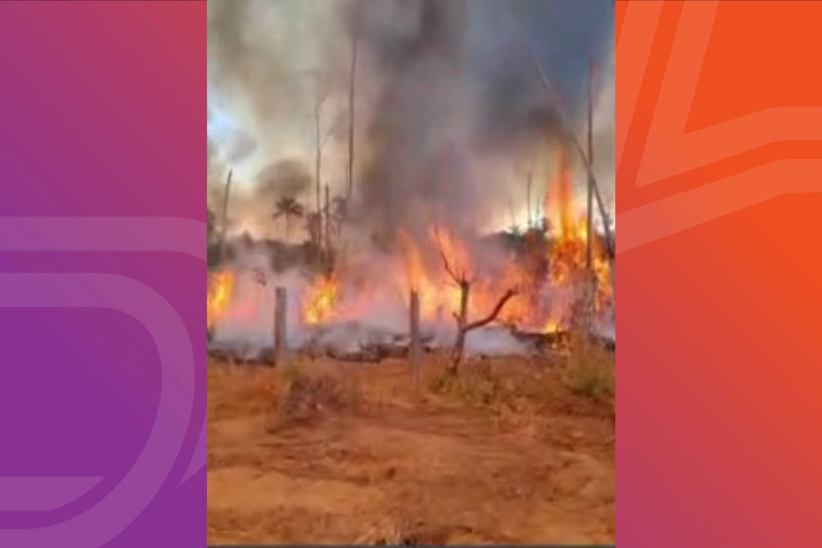 Fogo atingiu área de manejo sustentável em Nova Santa Helena. - Vídeo: Reprodução