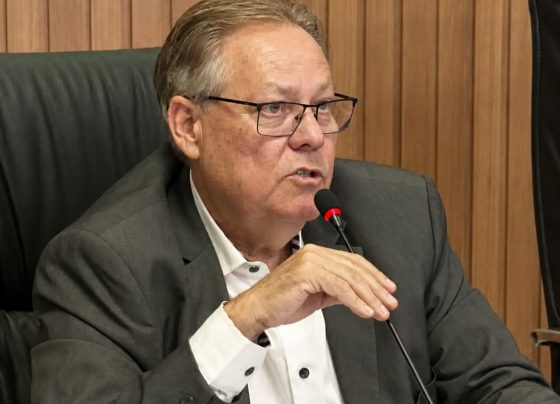 politica de primeira