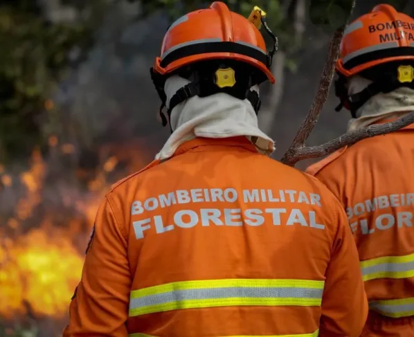 Corpo de bombeiros caminhando em direção à vegetação em chamas