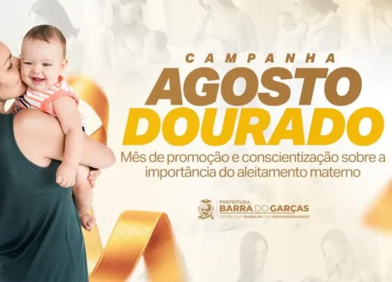 Agosto Dourado (2)