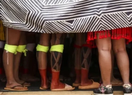 INDIGENAS