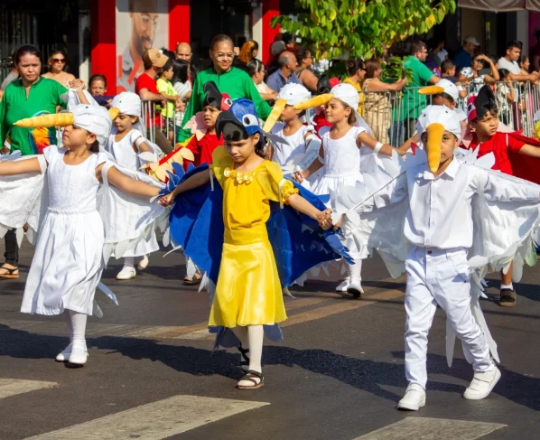 Desfile Cívico Militar (1)