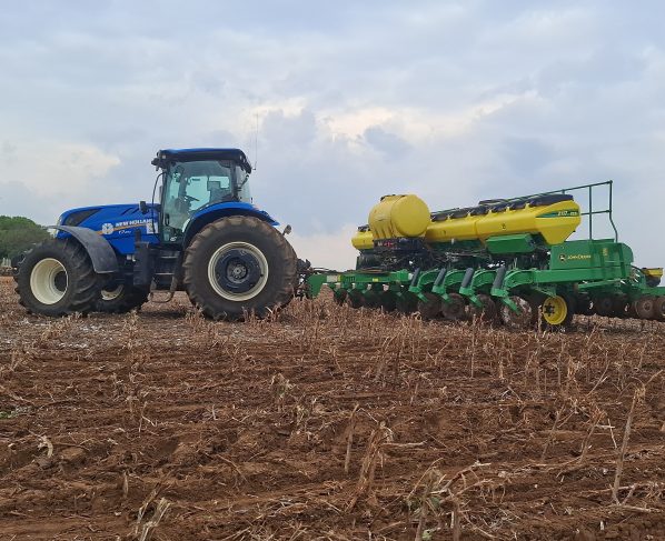 Produtores rurais aproveitam umidade no solo para iniciar os trabalhos no campo, mas mantêm cautela diante dos altos custos de produção e das incertezas climáticas.