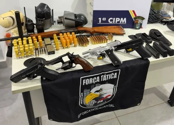 Armas apreendidas com invasores