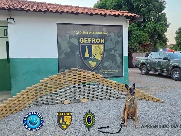Cão farejador parado para a foto em frente à pilhas de drogas