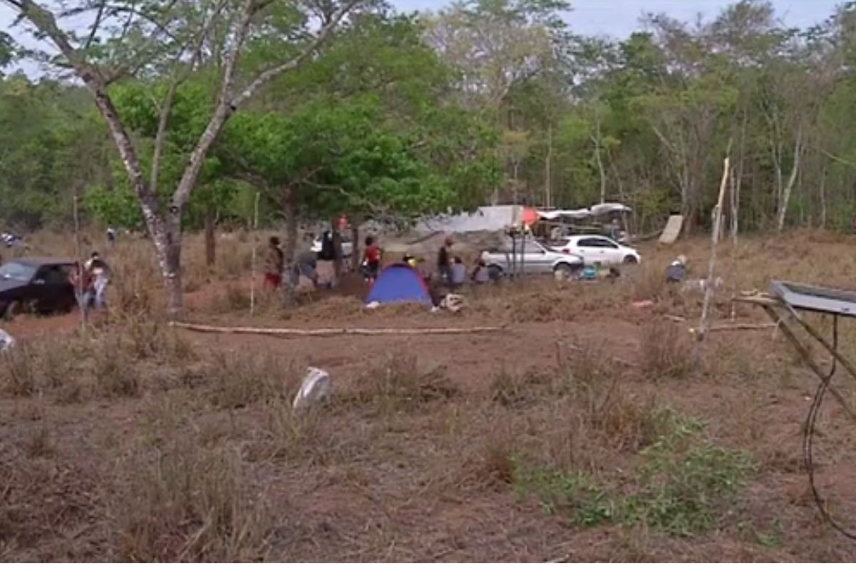 Mato Grosso já teve 10 invasões de terra em seis meses do ano. - Foto: Reprodução