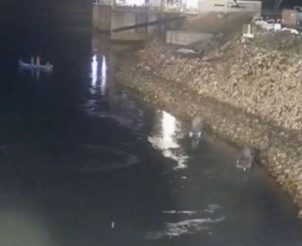 Pescadores se aproximam de área onde há risco de sucção, vórtices e correntes de retorno. – Foto: Reprodução