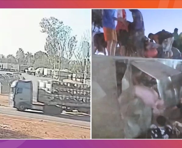 Cerca de 300 pessoas saquearam porcos após tombamento de carreta em Várzea Grande. - Foto: Reprodução