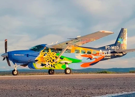 Avião azul