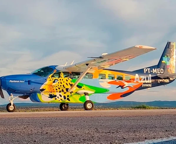 Avião azul
