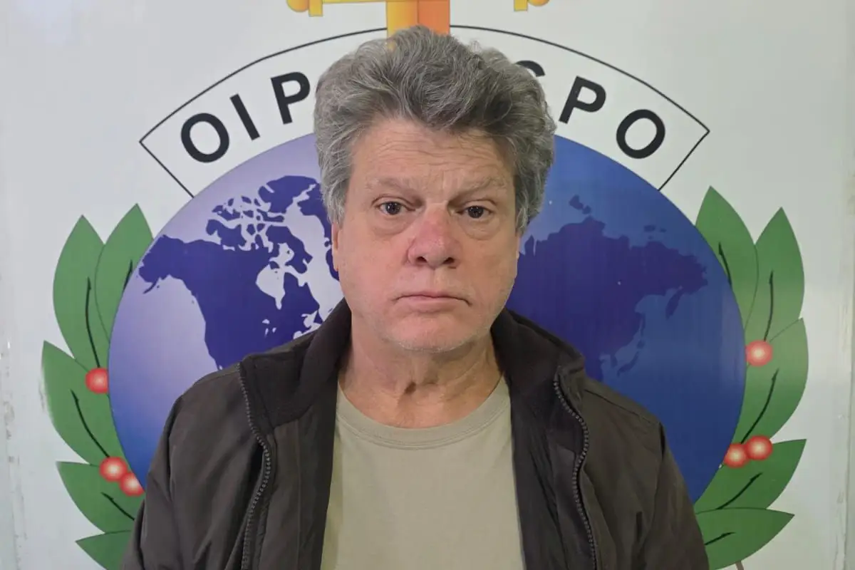 Gerson Palermo capa
