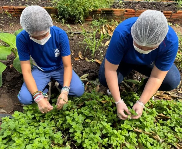 Escola em Barra do Garças transforma plantas do Cerrado em pomadas