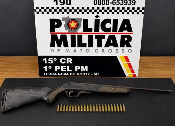 Violência doméstica: homem é preso com arma e munições