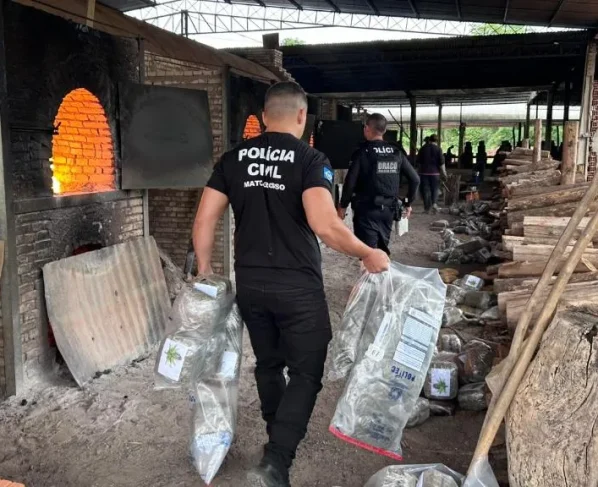 Polícia destrói mais de 400 kg de drogas em Cáceres