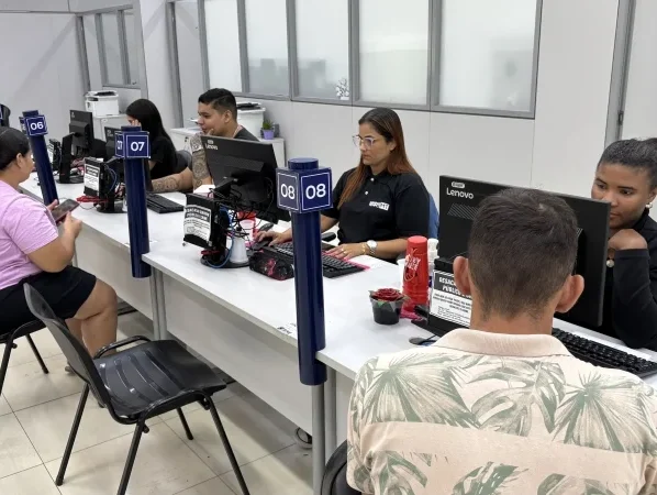Sistema Nacional de Emprego (7)