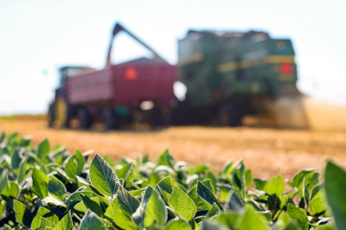reforma tributária agro - produção