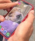 Como consultar se um celular usado é roubado antes da
